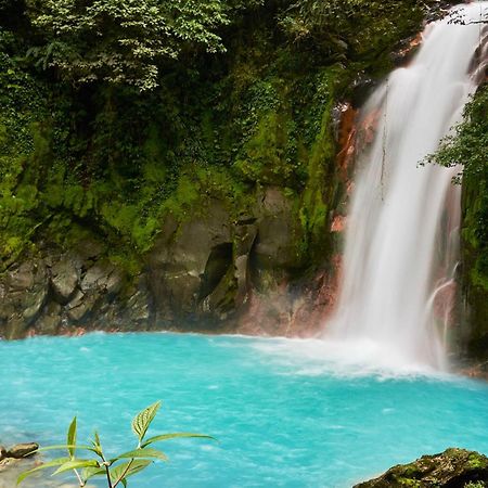 Myra Chalets Bijagua Dış mekan fotoğraf