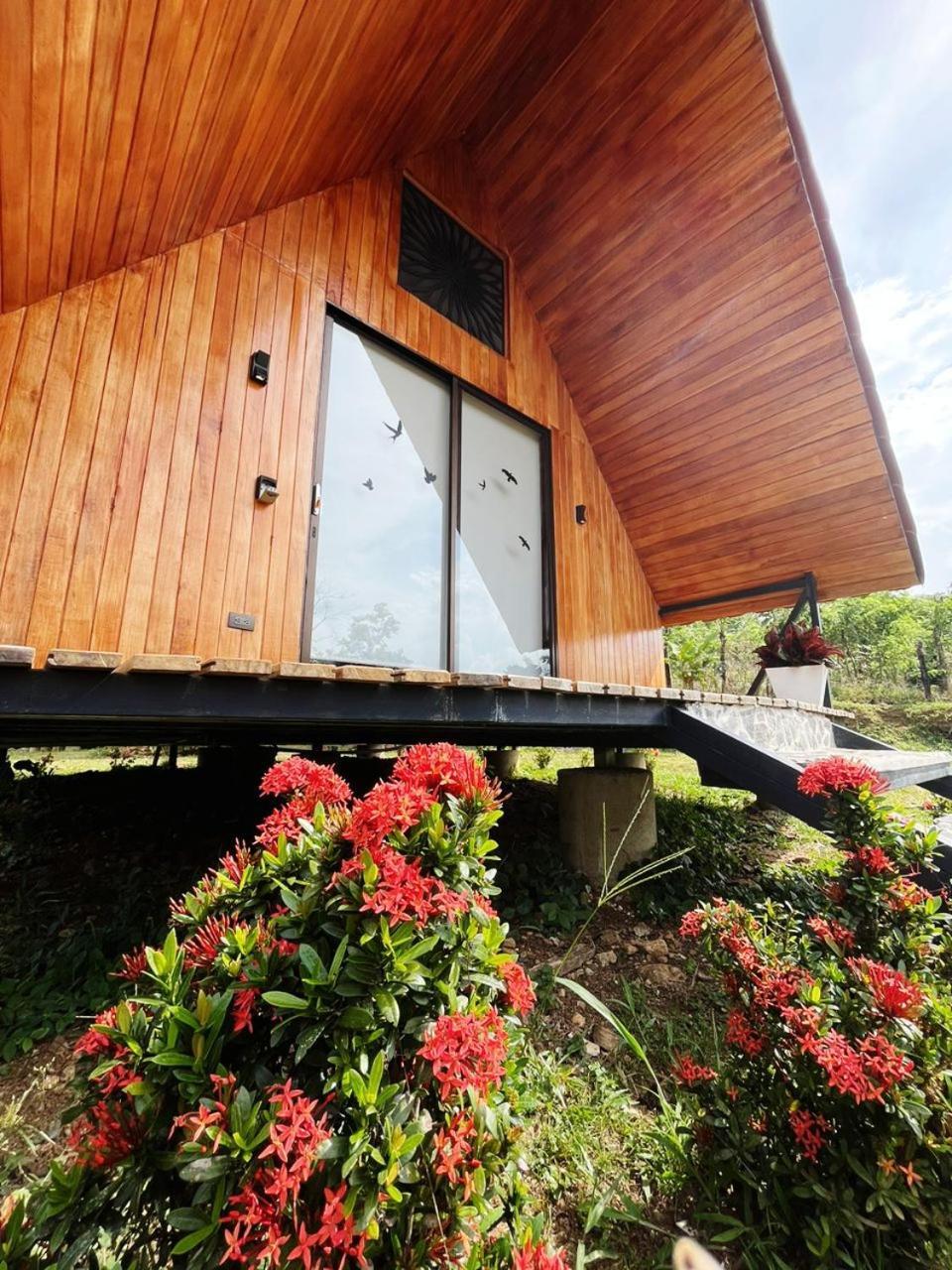 Myra Chalets Bijagua Dış mekan fotoğraf