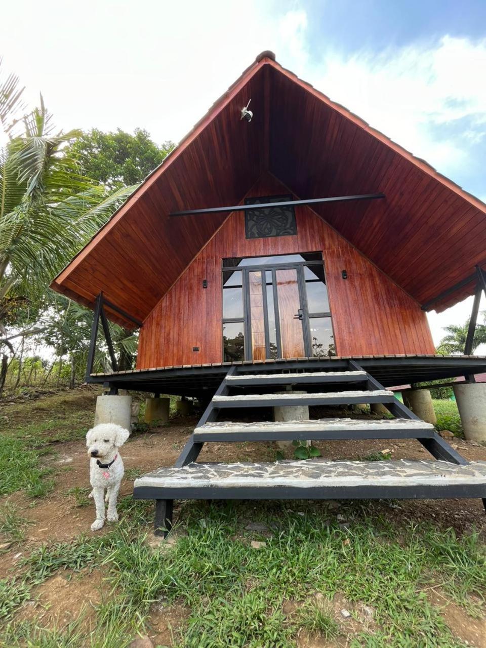 Myra Chalets Bijagua Dış mekan fotoğraf